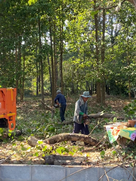 องค์การบริหารส่วนตำบลสะเดา มอบหมายพนักงานเจ้าหน้าที่พร้อมรถกระเช้าดำเนินการตัดแต่งกิ่งไม้ เพื่อปรับปรุงภูมิทัศน์ ตามคำขอความอนุเคราะห์จากโรงเรียนบ้านโคกโพธิ์ (บริเวณศาลต้นโพธิ์)