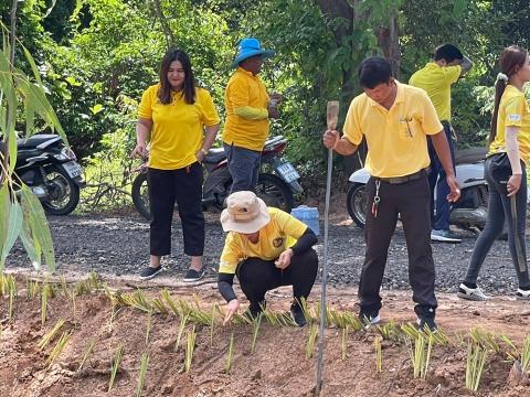 กิจกรรม Big Cleaning Day