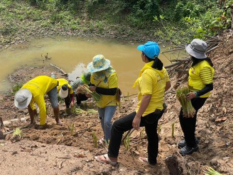 กิจกรรม Big Cleaning Day