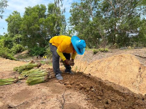 กิจกรรม Big Cleaning Day