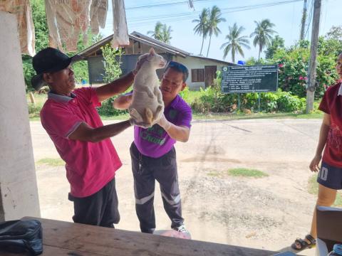 โครงการสัวต์ปลอดโรคคนปลอดภัยจากโรคพิษสุนัขบ้า