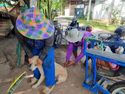 โครงการสัวต์ปลอดโรคคนปลอดภัยจากโรคพิษสุนัขบ้า