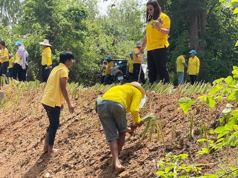 กิจกรรม Big Cleaning Day