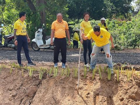 กิจกรรม Big Cleaning Day