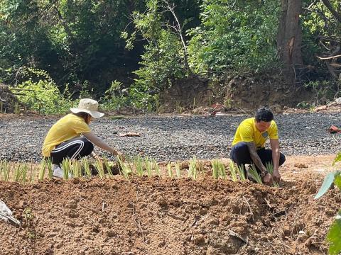 กิจกรรม Big Cleaning Day