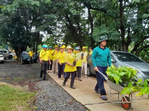 โครงการปลูกป่าเฉลิมพระเกียรติ ร.10