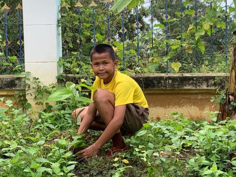 โครงการปลูกป่าเฉลิมพระเกียรติ ร.10