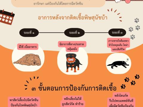 การป้องกันโรคพิษสุนัขบ้า