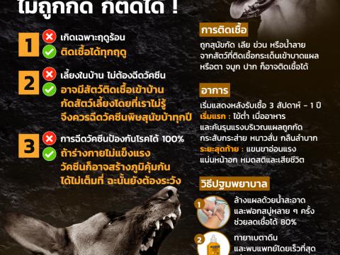 การป้องกันโรคพิษสุนัขบ้า