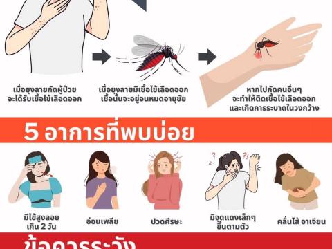 การป้องกันโรคไข้เลือดออก