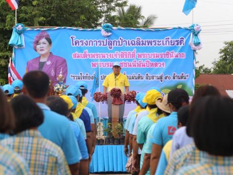 กิจกรรมปลูกต้นไม้ตามโครงการท้องถิ่นปลูกป่าเฉลิมพระเกียรติ ฯ