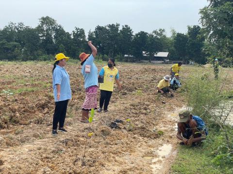 กิจกรรมปลูกต้นไม้ตามโครงการท้องถิ่นปลูกป่าเฉลิมพระเกียรติ ฯ