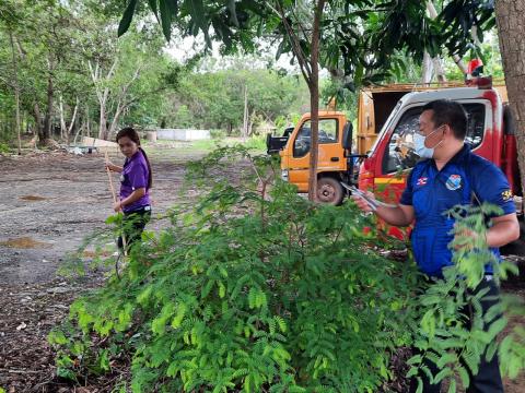 กิจกรรม big cleaning day